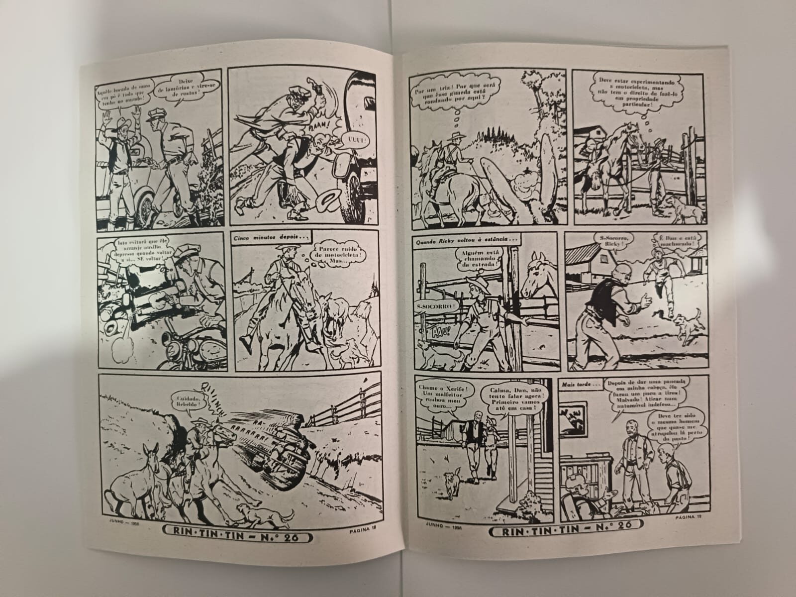 rin tin tin n. 26 rin tin tin n. 26